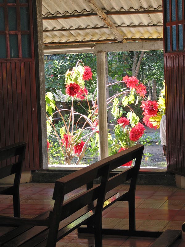 comala_iglesia_jardin_4528