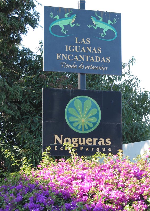 comala_nogueras_letr#10023