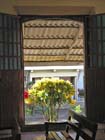 comala_iglesia_jardin_4527