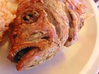 cuastecomate-pescado_3880