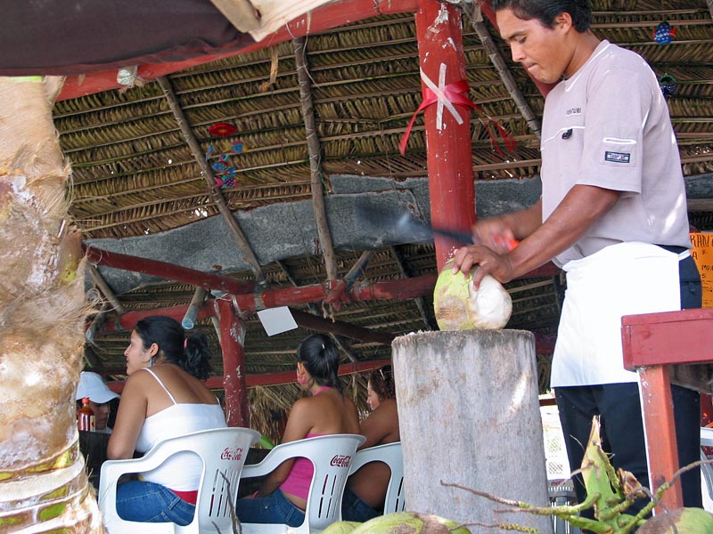 cuastecomate_cocos_3837