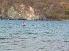 cuastecomate_ave_3849