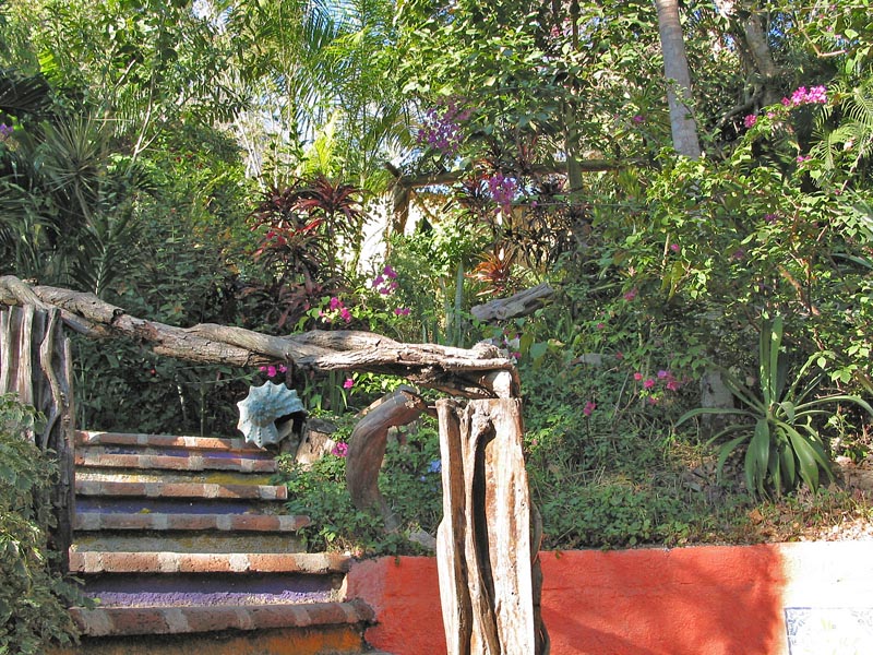 casa_maguey_escalera_4596