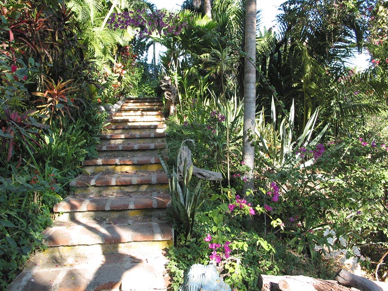 casa_maguey_escalera_4598