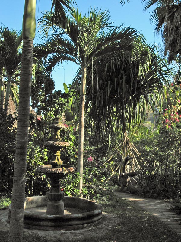 casa_maguey_jardin_4593