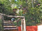 casa_maguey_escalera_4596