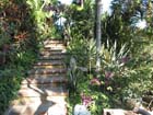 casa_maguey_escalera_4598