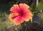 casa_maguey_flor_4696