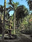 casa_maguey_jardin_4593