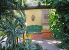 casa_maguey_jardin_4601