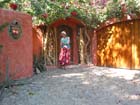 casa_maguey_puerta_a#10014