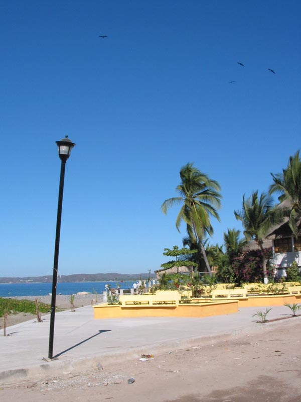 la_manzanilla_calle_4607