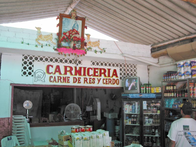 la_manzanilla_carnic#10013