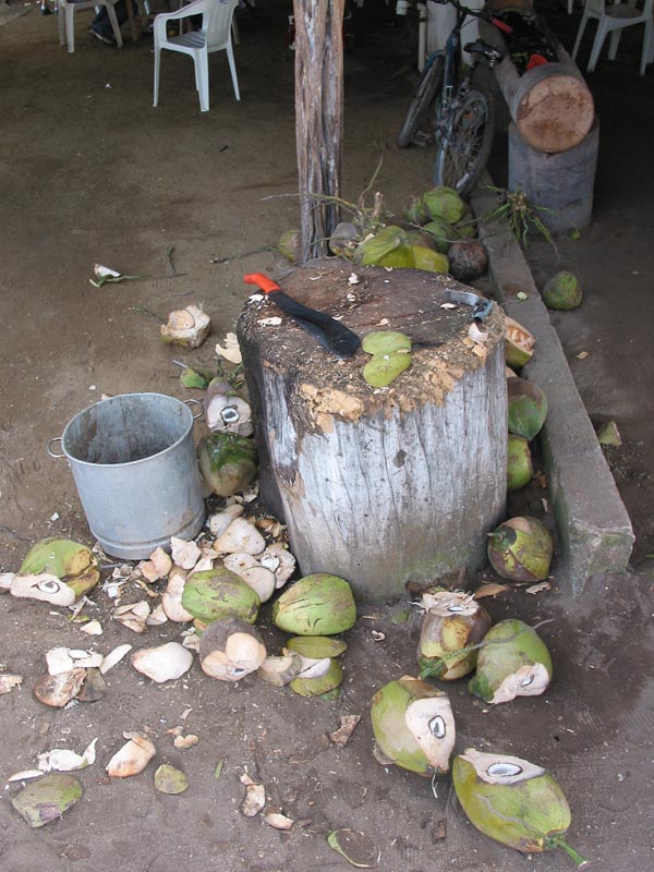 la_manzanilla_palapa#10029