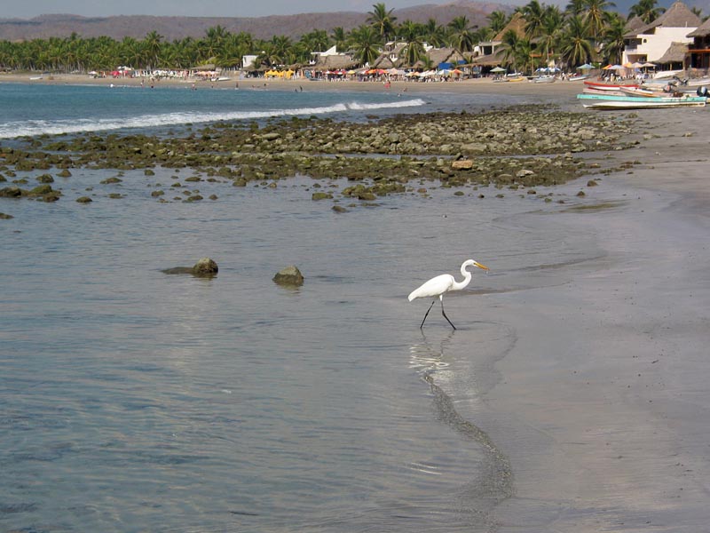 la_manzanilla_playa_#10037