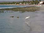 la_manzanilla_playa_#10037
