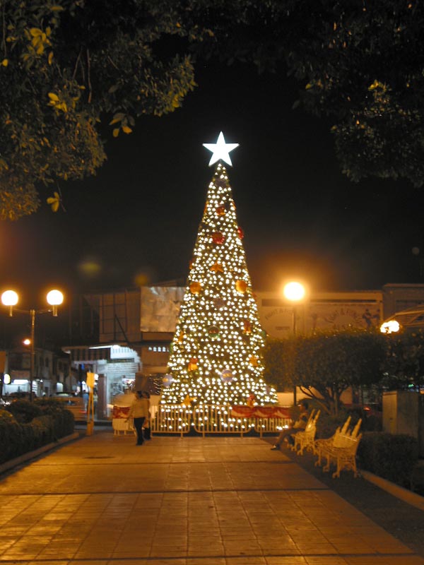 colima_jardin_de_nun#10003