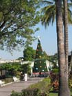 colima_jardin_de_nun#10002