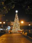 colima_jardin_de_nun#10003