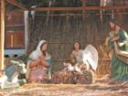 colima_natividad_mun#10008