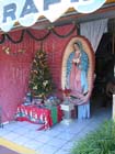 melaque_la_navidad_4098