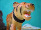 melaque_casa-1_tigre_3793