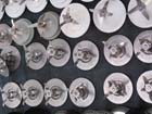 melaque_tianguis_cuc#10007