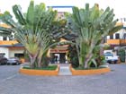 melaque_calle_hotel_3671
