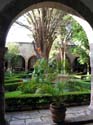 morelia-rose-garden-099