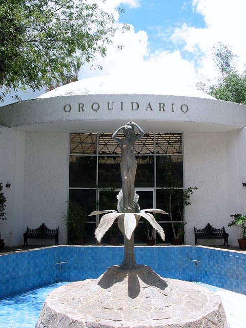 morelia-orquidario-114