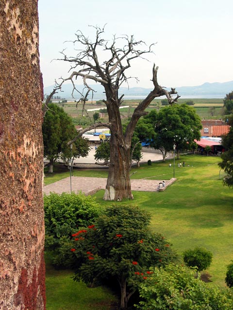 monastery-window-view-105