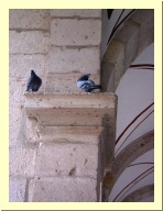 morelia04-artesanias-paloma_2260.jpg