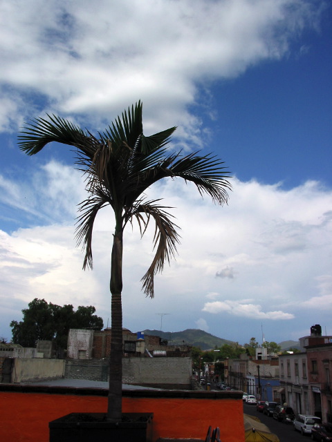 morelia04-escuela_2543.jpg