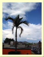 morelia04-escuela_2543.jpg