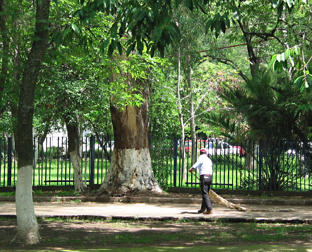 morelia04-calle-limpi#F2FE.jpg