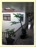 morelia04-hotel-datilanos_2568.jpg