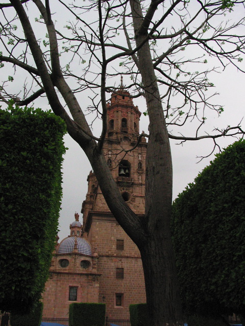 morelia04-catedral_2899.jpg