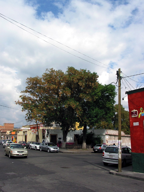 morelia04-pila-del-ga#F_18.jpg