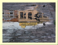 morelia04-calle-palomas_2877.jpg