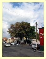 morelia04-pila-del-gallo_2394.jpg