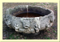 morelia04-tiripetio-pila_2139.jpg