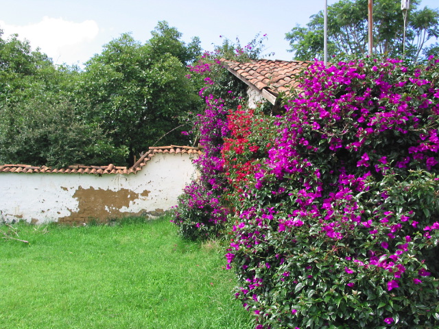 morelia04-tupataro_2149.jpg