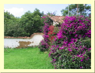 morelia04-tupataro_2149.jpg