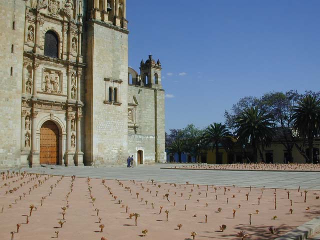 DSCN0043