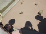 DSCN0047