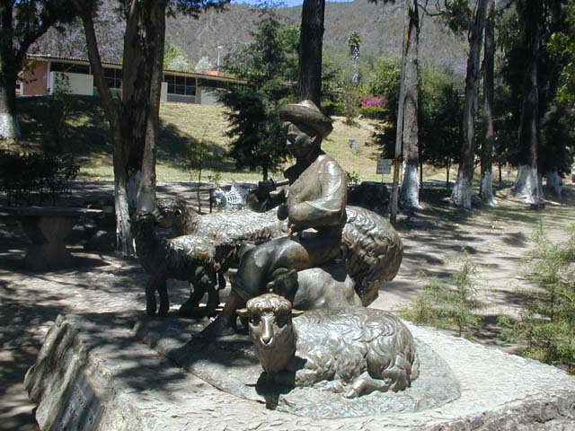 DSCN0084