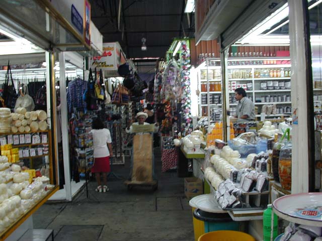 a-DSCN0136