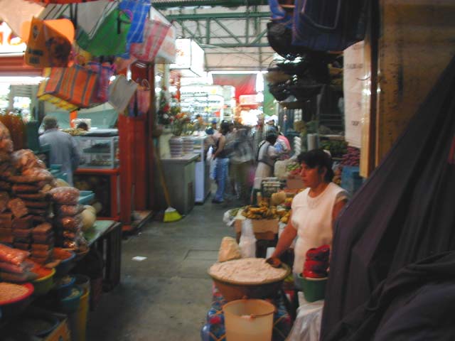 c-2-DSCN0144
