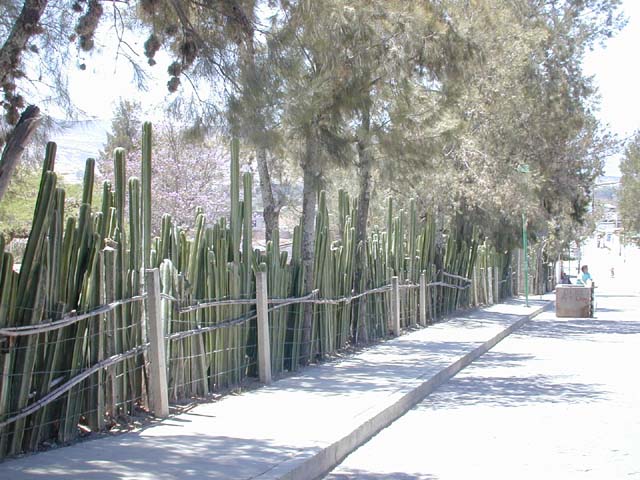 DSCN0063