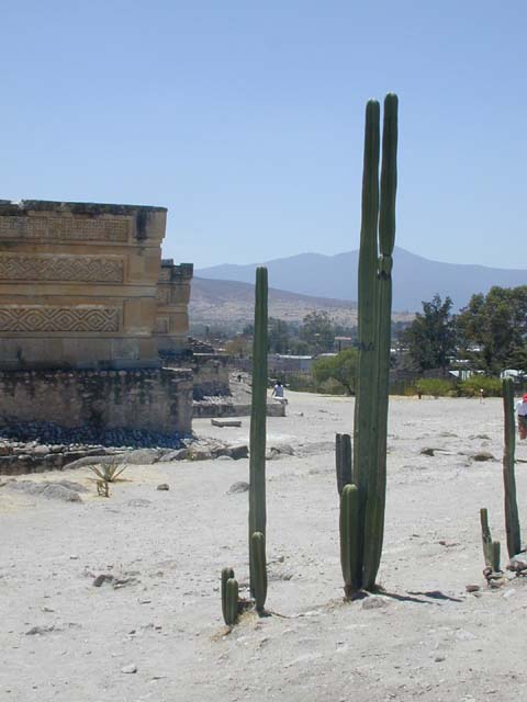 DSCN0082